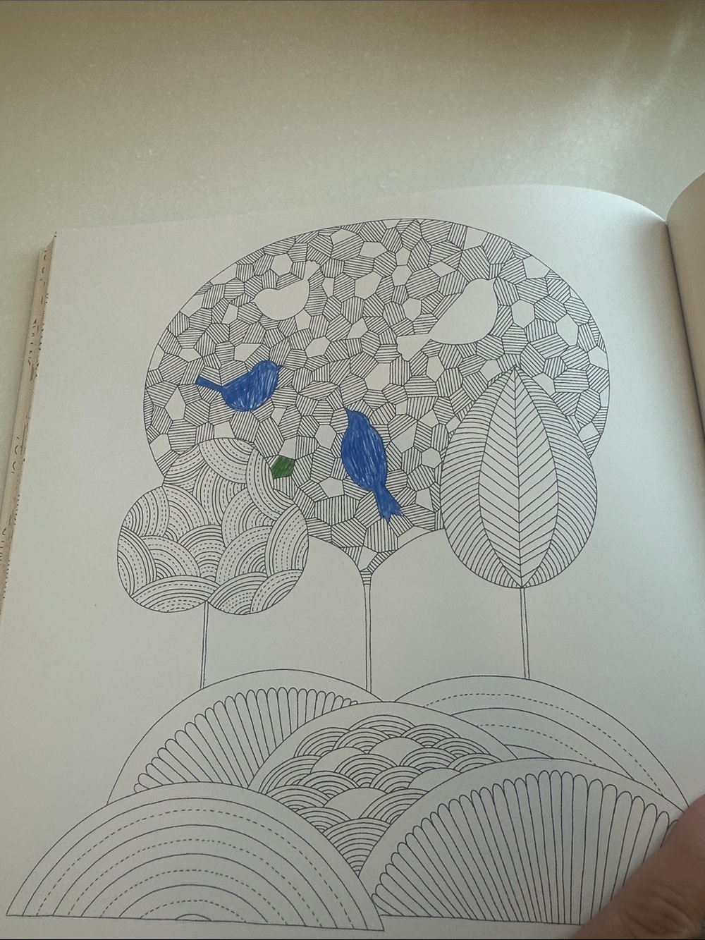 Coloring Book - Picture 2 of 4